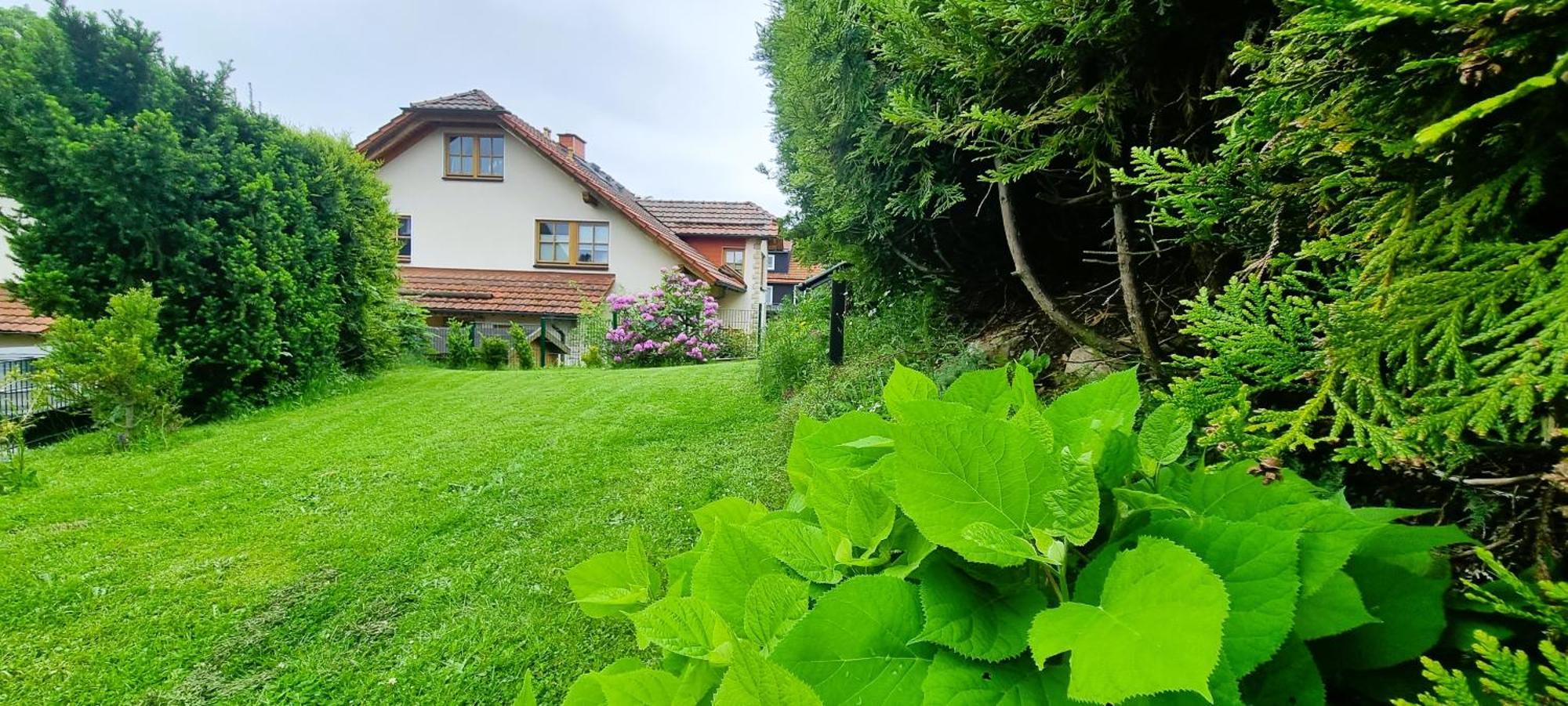 Haus Siggi Braunlage Exterior foto